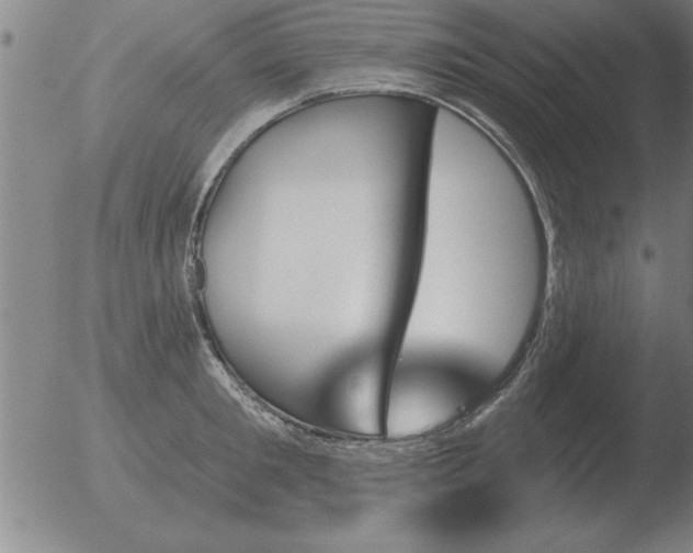 X0000051920901200507082052