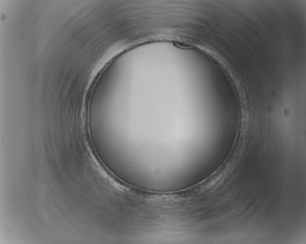 X0000051920902200507082052