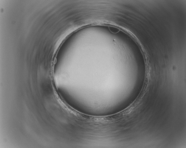 X0000051920903200507082052