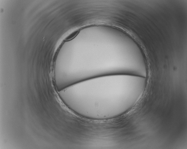 X0000051920904200507082052