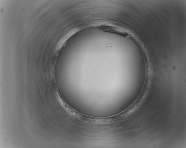 X0000051920905200507082052