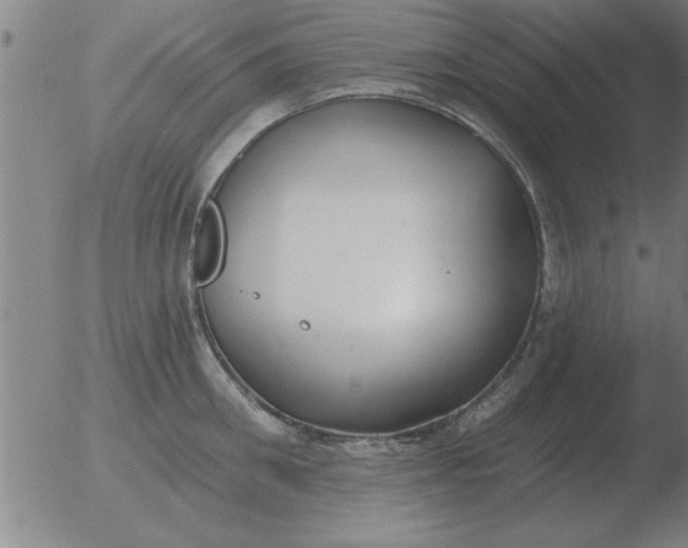 X0000051920906200507082052