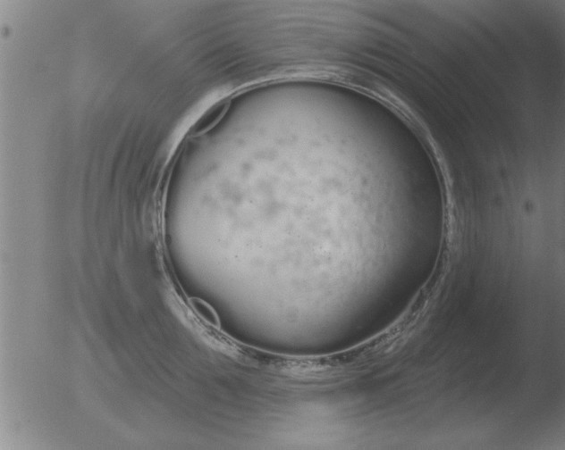 X0000051920907200507082052