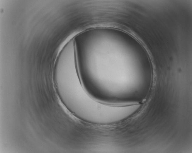 X0000051920909200507082052