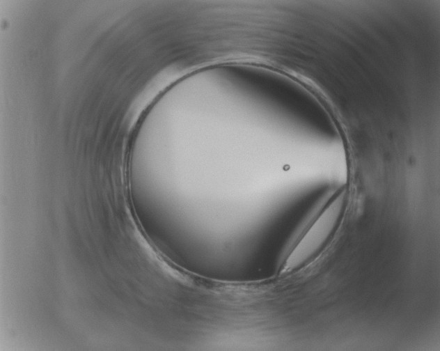 X0000051920910200507082052