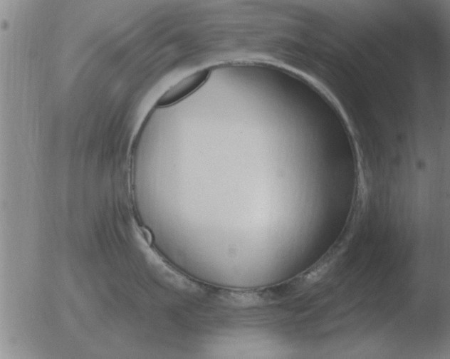 X0000051920911200507082052