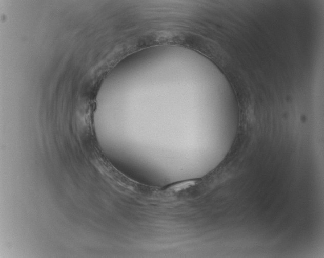 X0000051920914200507082051