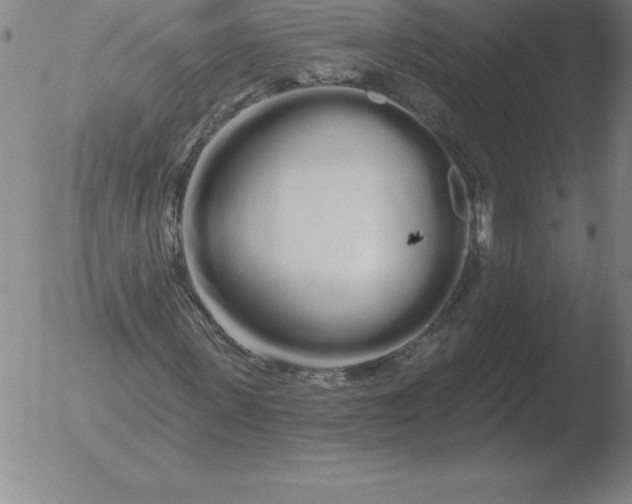 X0000051920915200507082051