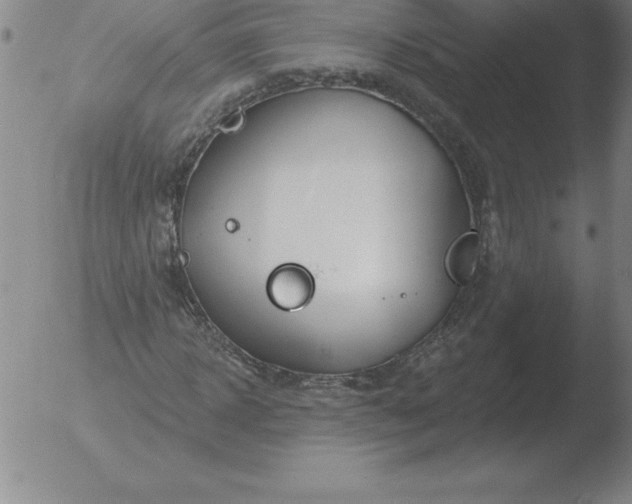 X0000051920918200507082051