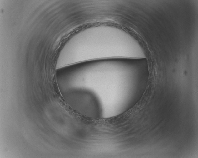 X0000051920920200507082051