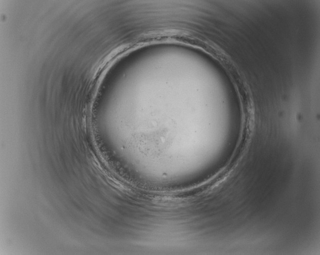 X0000051920921200507082051