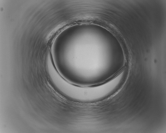 X0000051920922200507082051