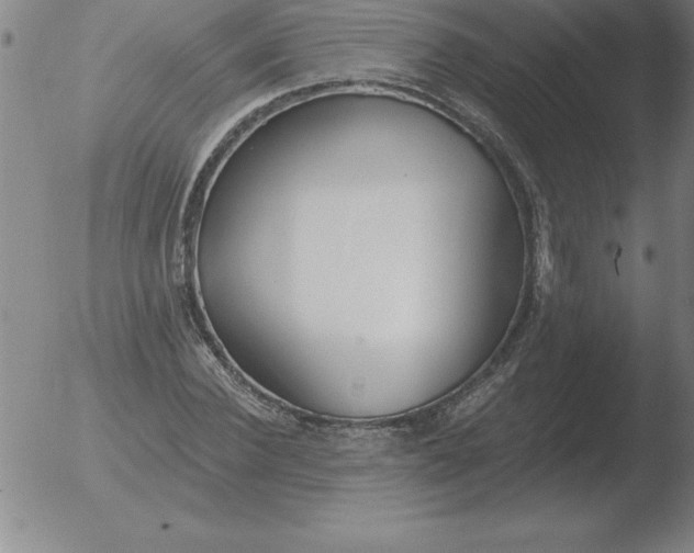 X0000051920924200507082051