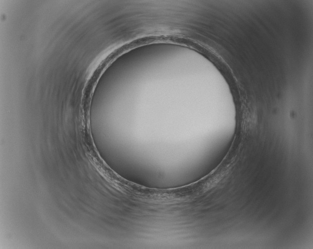 X0000051920927200507082051