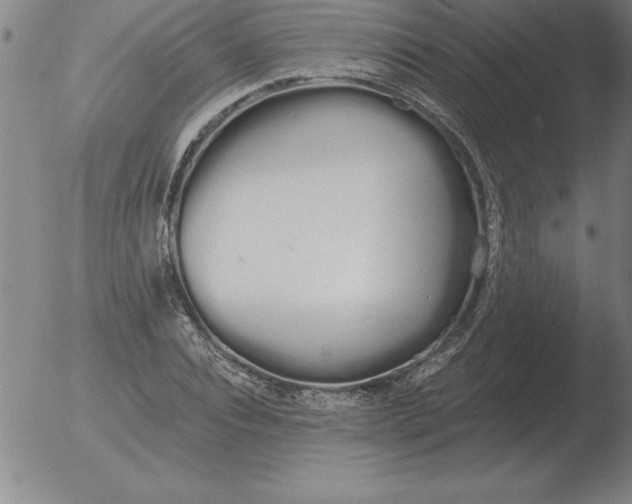 X0000051920928200507082051