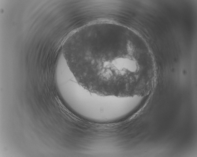 X0000051920929200507082051