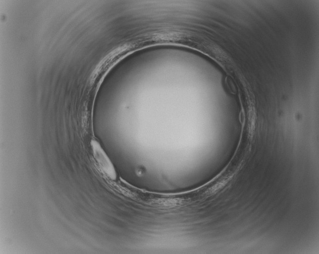 X0000051920930200507082051