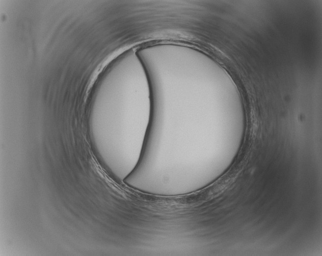 X0000051920931200507082051