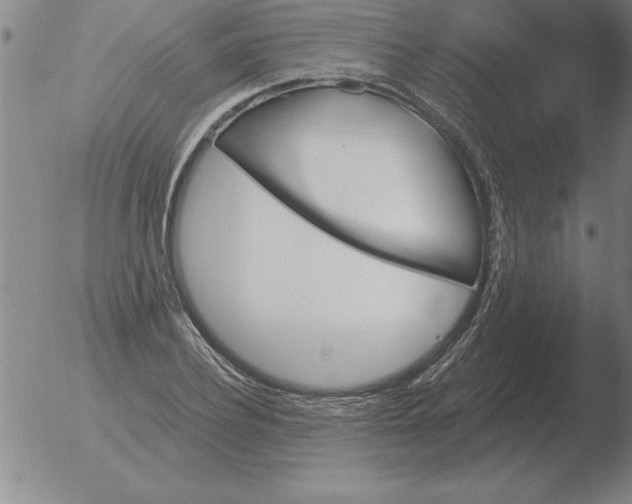 X0000051920932200507082051