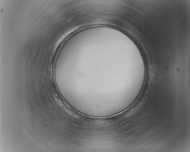 X0000051920933200507082051