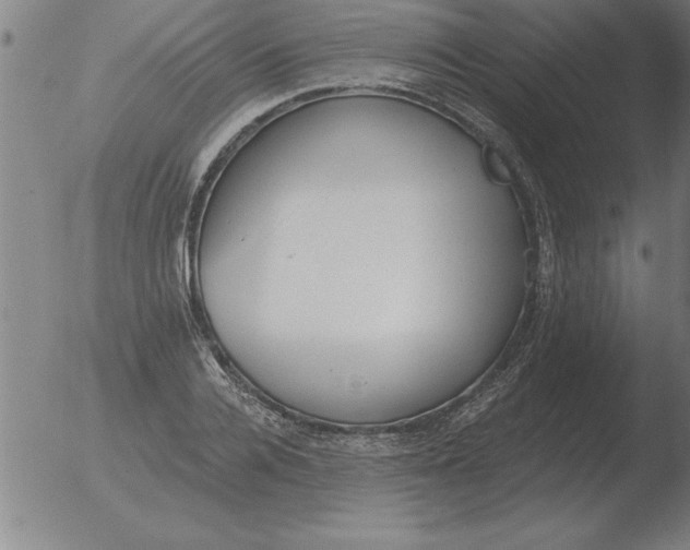 X0000051920936200507082051