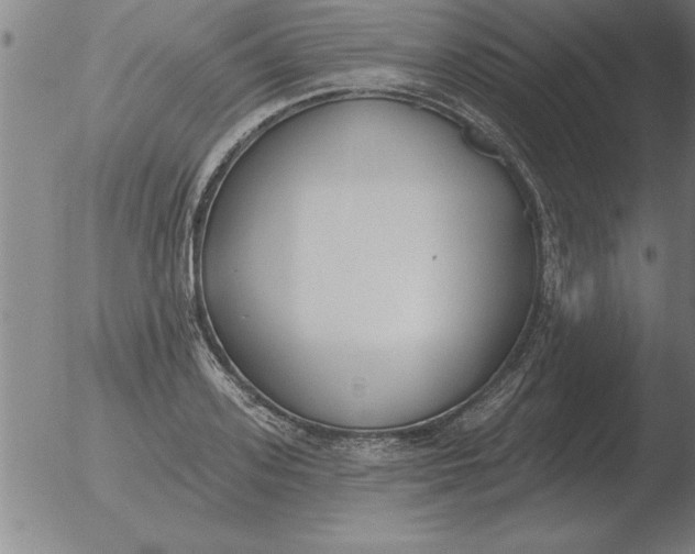 X0000051920939200507082051