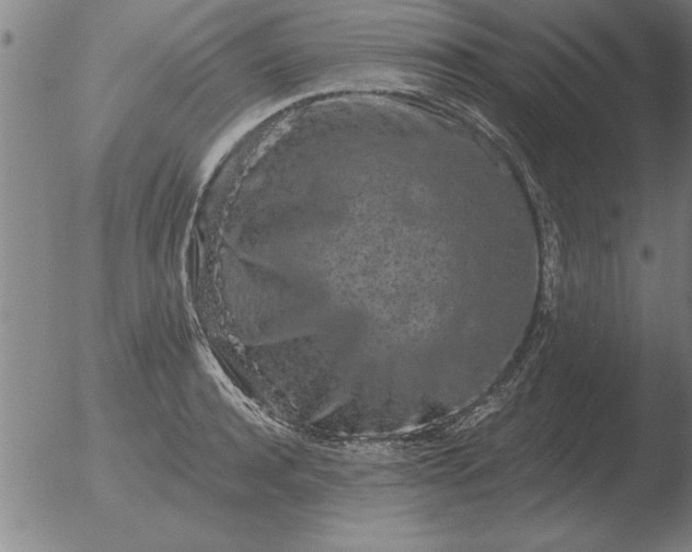 X0000051920944200507082051