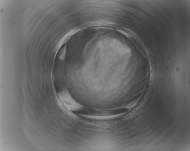 X0000051920946200507082051