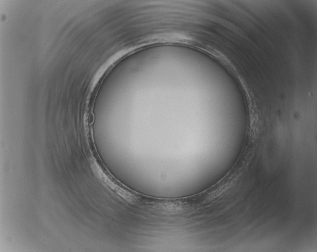 X0000051920947200507082051