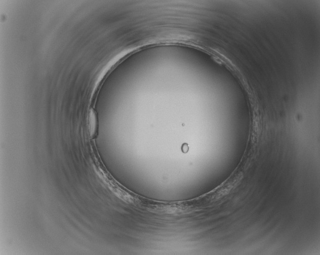 X0000051920948200507082051