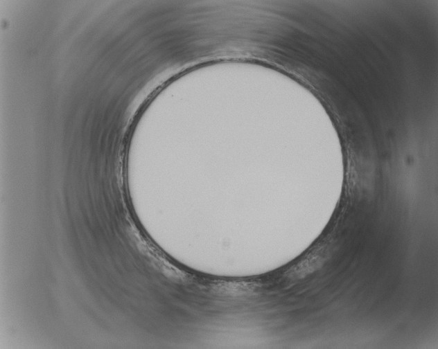 X0000051920950200507082051