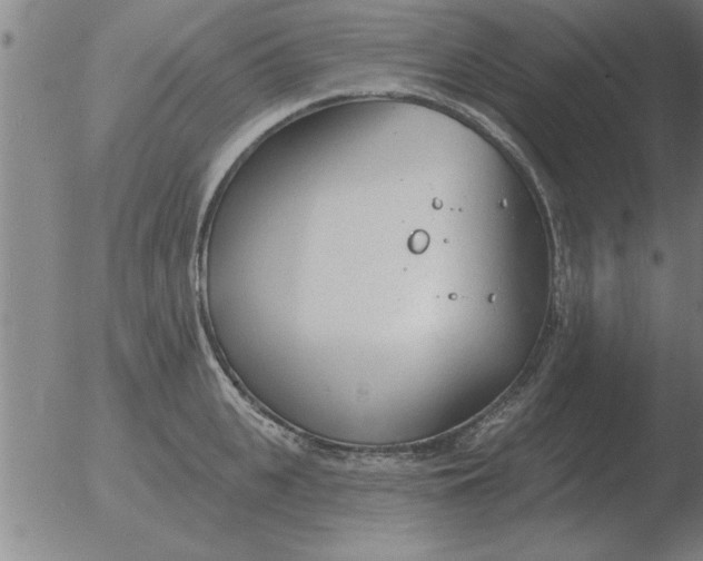 X0000051920951200507082051