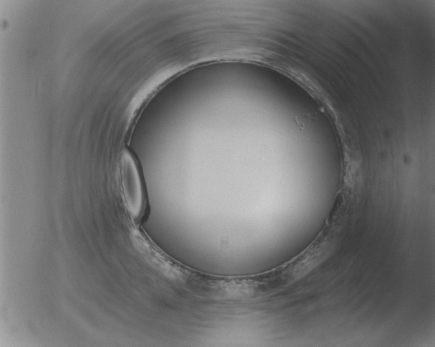 X0000051920952200507082051