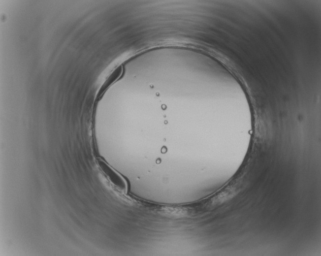 X0000051920954200507082051