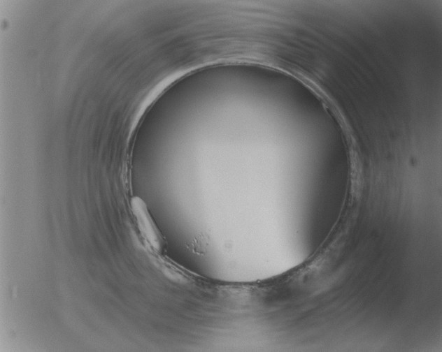 X0000051920956200507082052