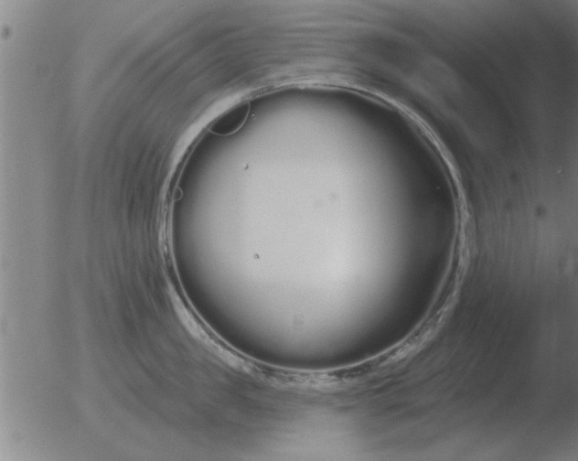 X0000051920957200507082052