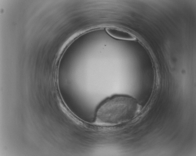 X0000051920958200507082052