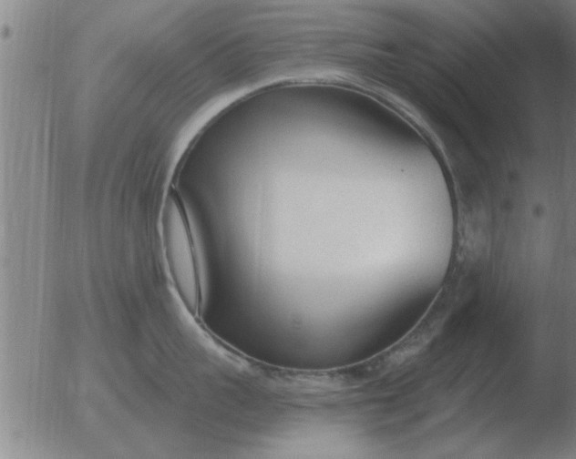 X0000051920959200507082052