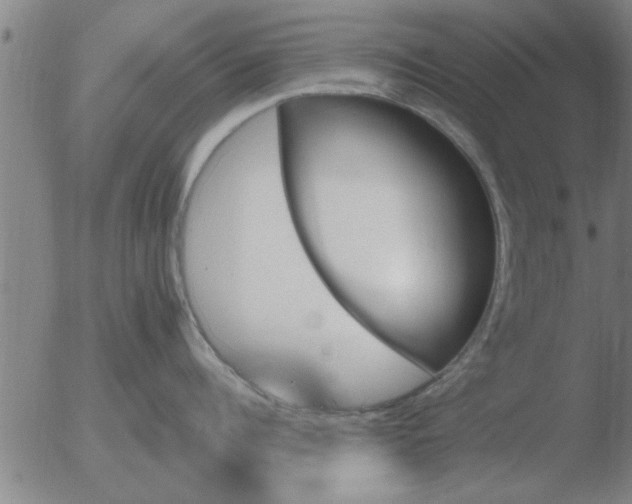 X0000051920960200507082052