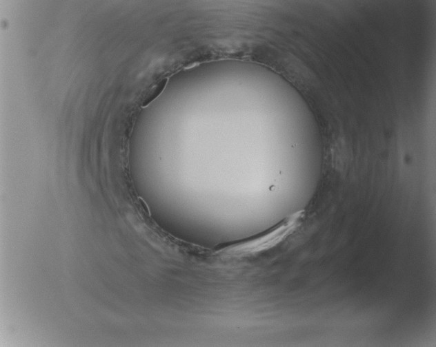 X0000051920961200507082051