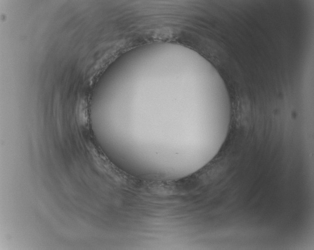 X0000051920962200507082051