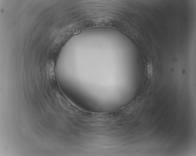 X0000051920963200507082051