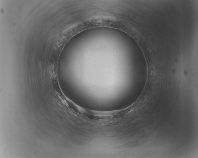 X0000051920965200507082051