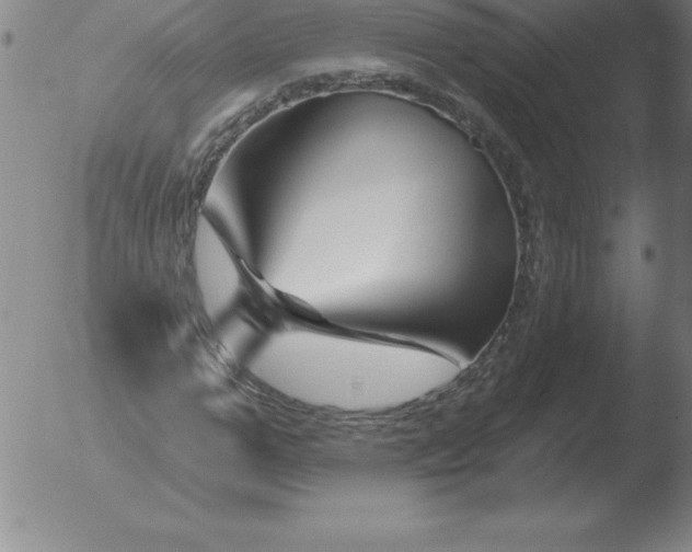 X0000051920967200507082051