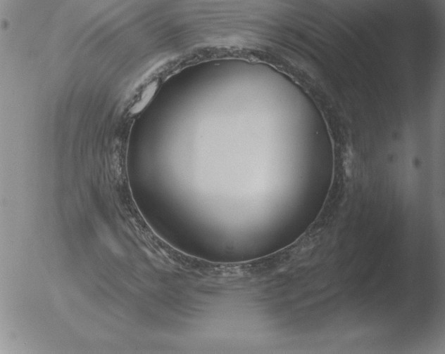 X0000051920968200507082051