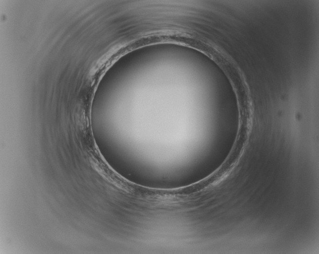 X0000051920969200507082051