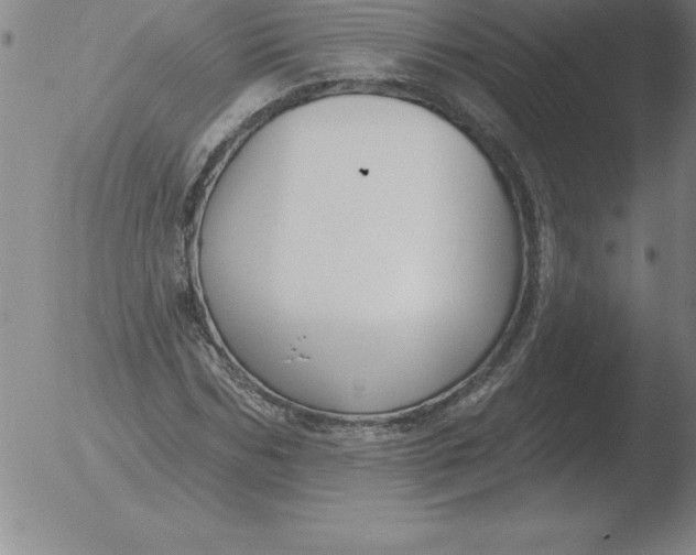 X0000051920970200507082051