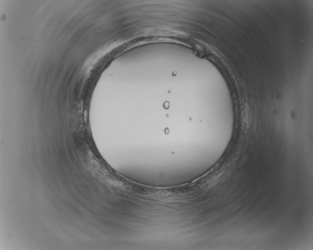 X0000051920971200507082051