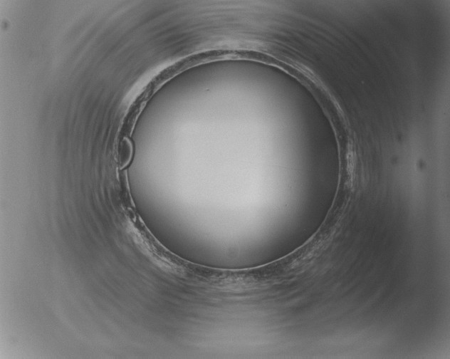 X0000051920972200507082051