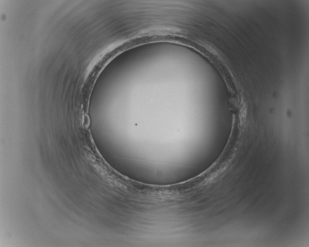 X0000051920973200507082051